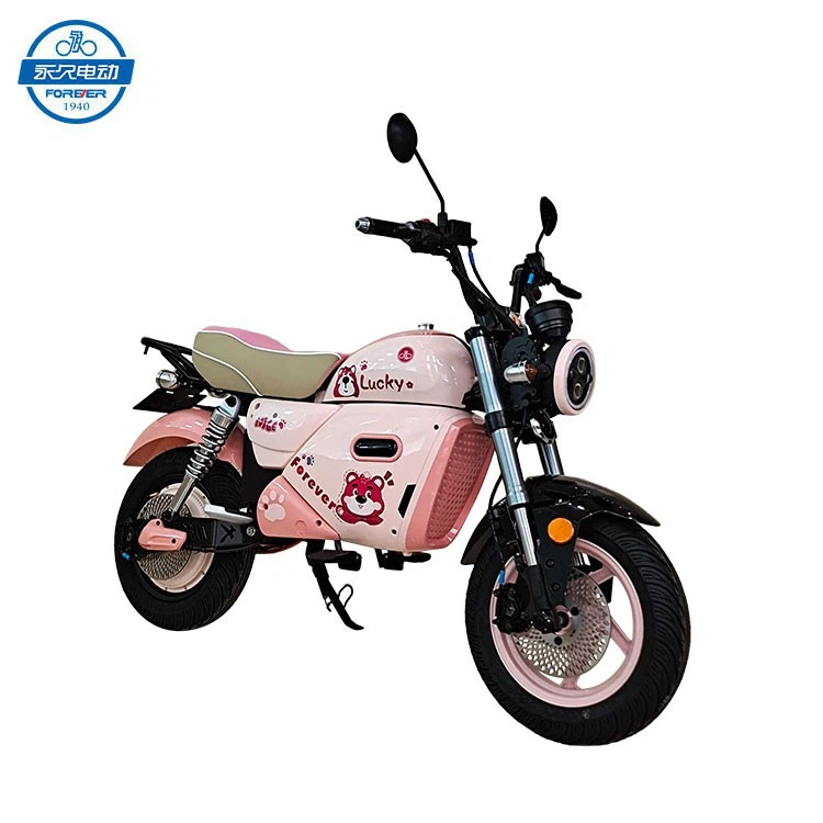 Lithium Battery Electric Motorcycles